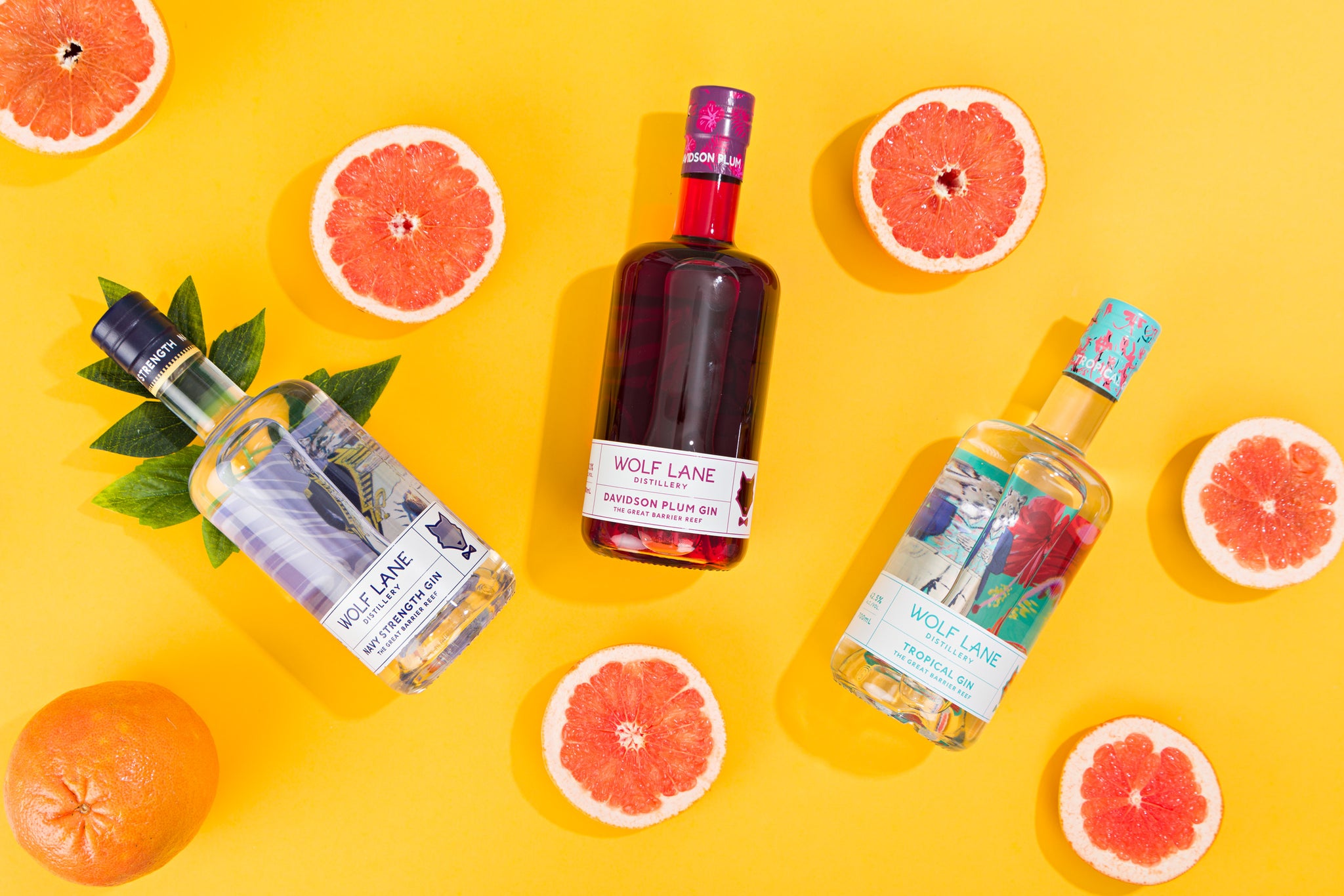 Shop Tropical Gins Online | Wolf Lane Distillery